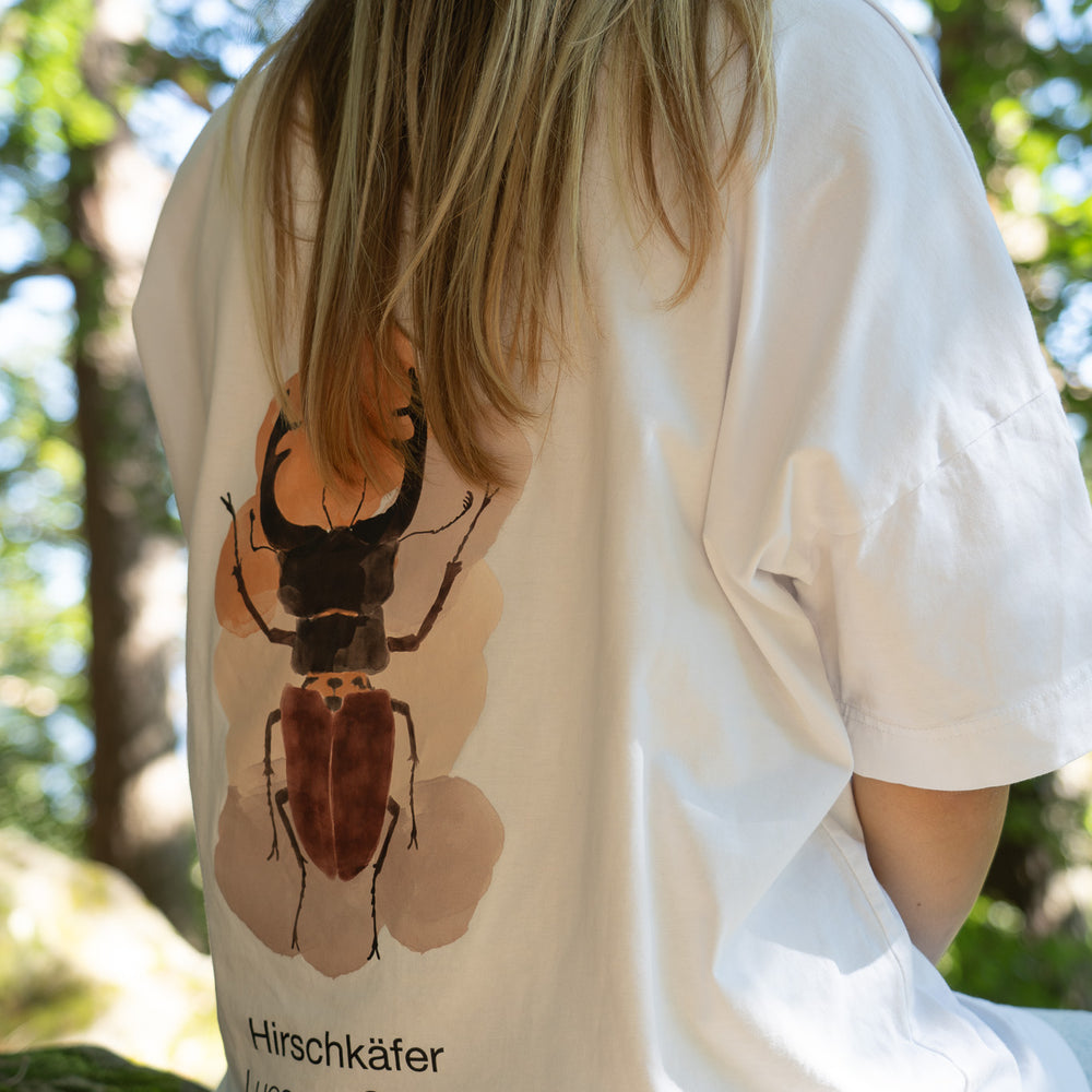 
                  
                    Hirschkäfer
                  
                