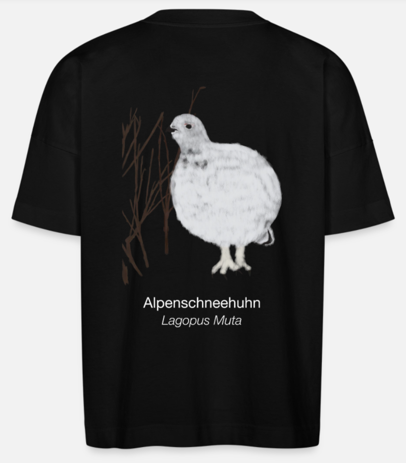 Alpenschneehuhn