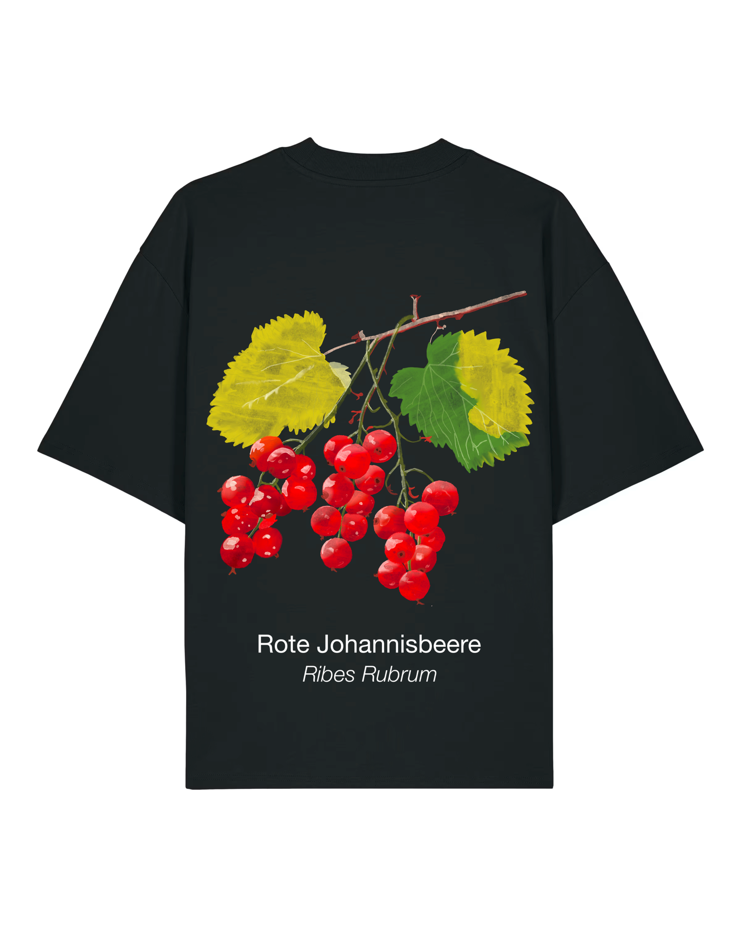 Rote Johannisbeere