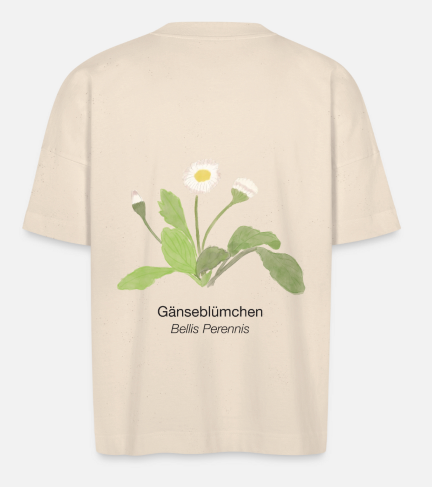 Gänseblümchen